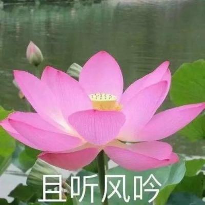 新华社权威快报｜会计法修正草案首次提请审议