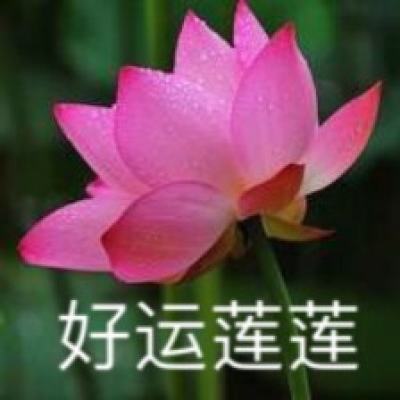 【境内疫情观察】辽宁新增3例本土病例（11月20日）
